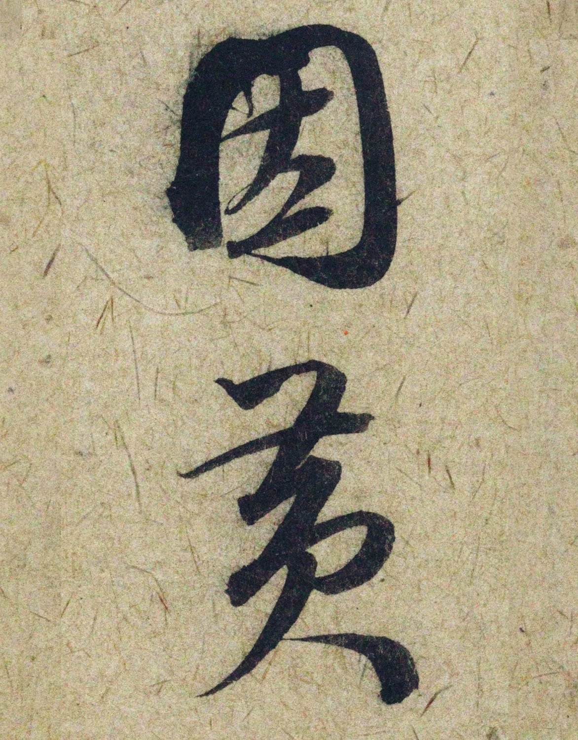 �����\38���в��顶����������ָ����ͼ��