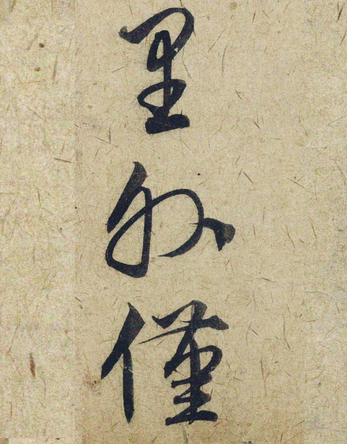 �����\38���в��顶����������ָ����ͼ��