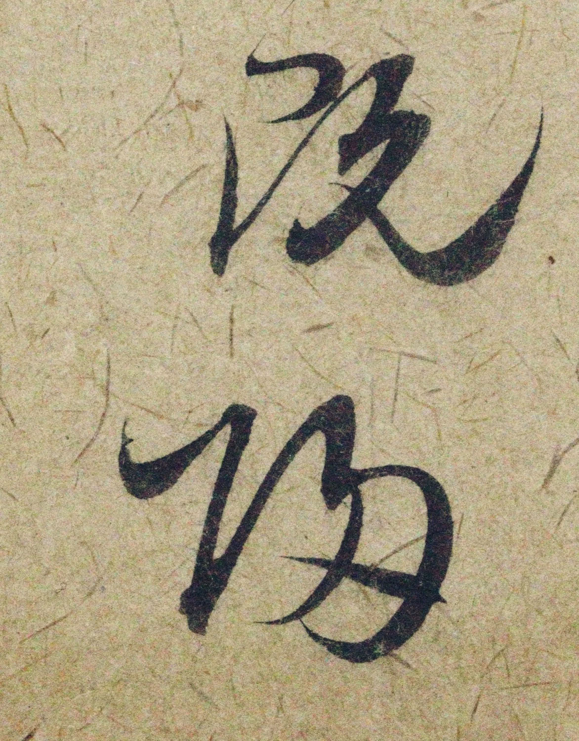 �����\38���в��顶����������ָ����ͼ��