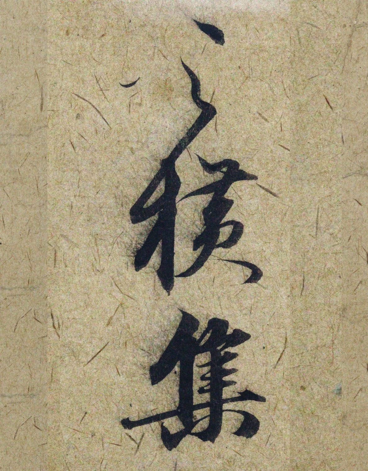 �����\38���в��顶����������ָ����ͼ��