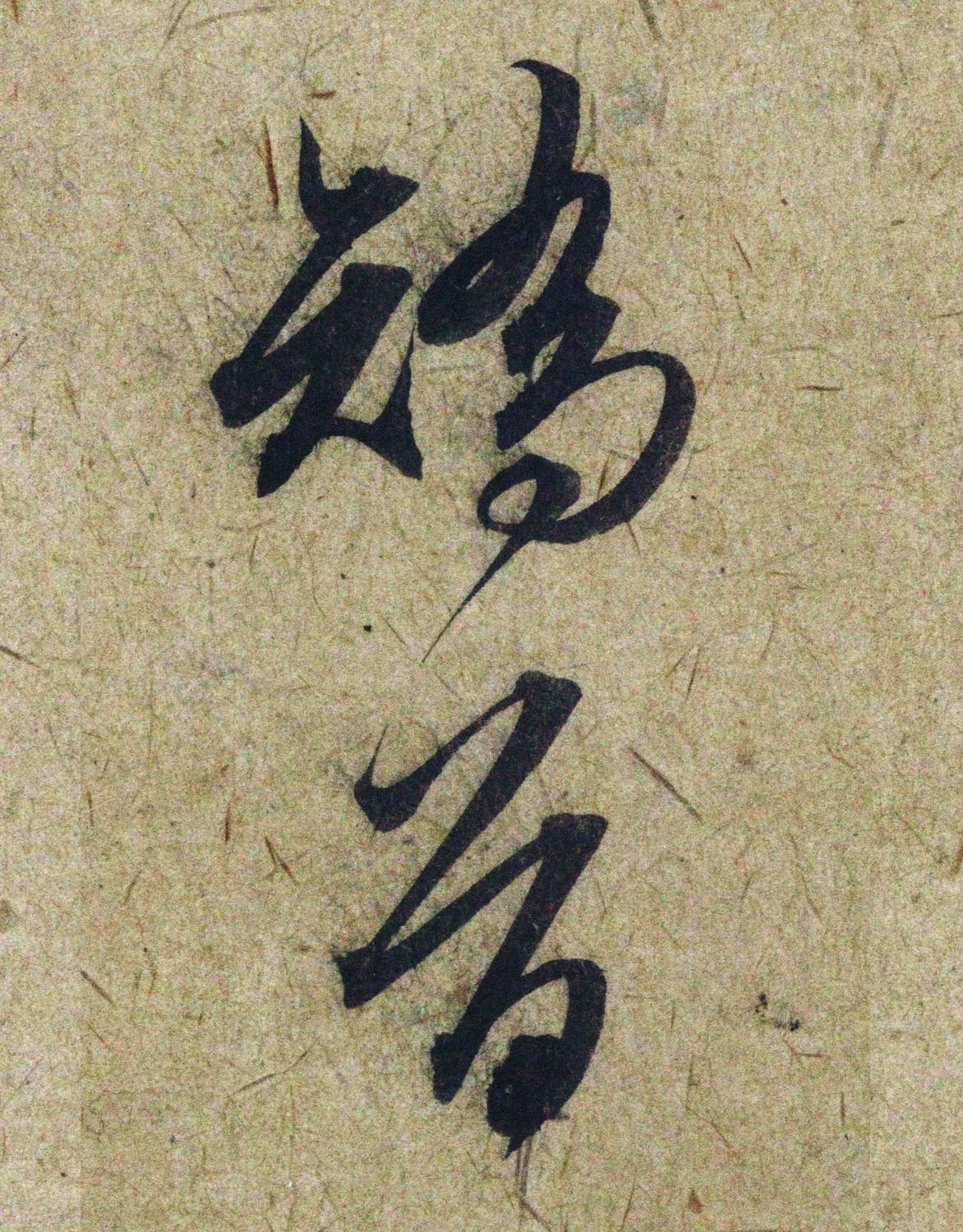 �����\38���в��顶����������ָ����ͼ��