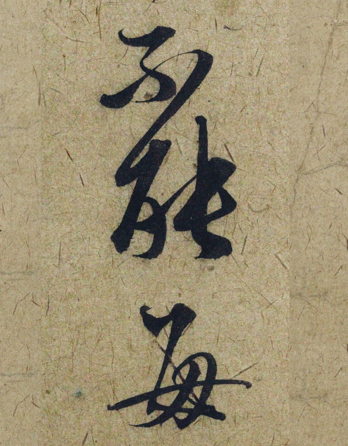 �����\38���в��顶����������ָ����ͼ��