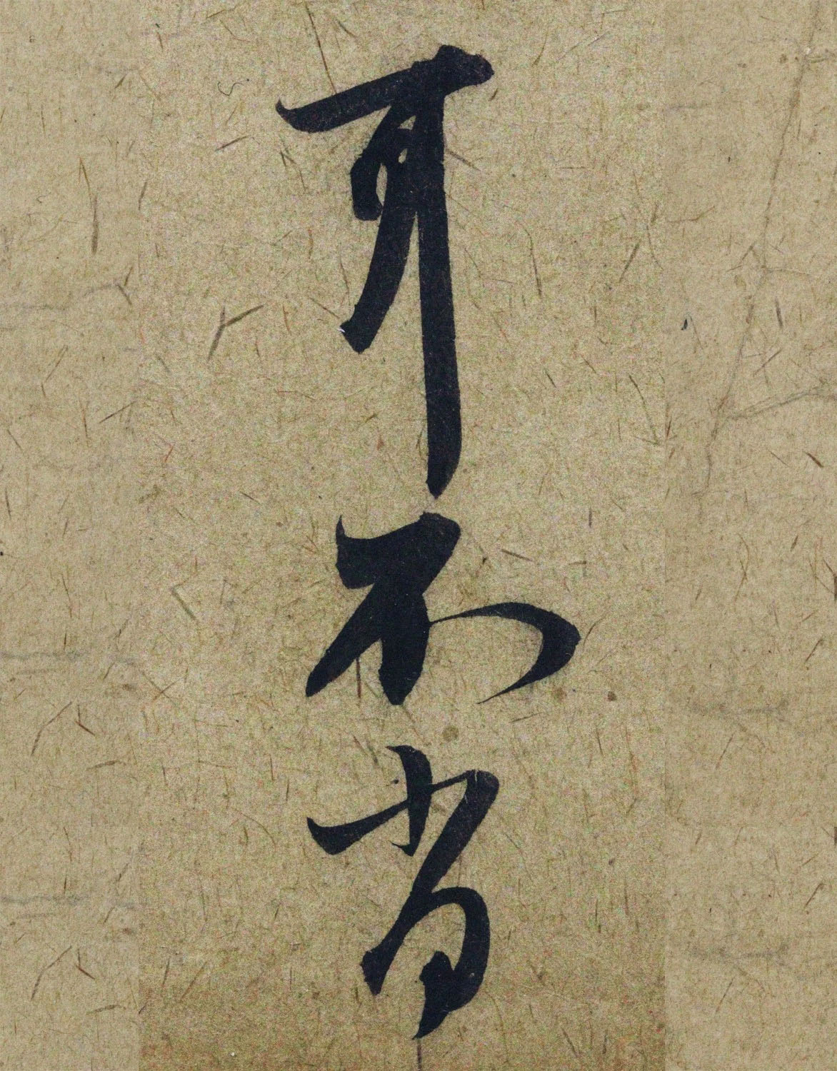 �����\38���в��顶����������ָ����ͼ��