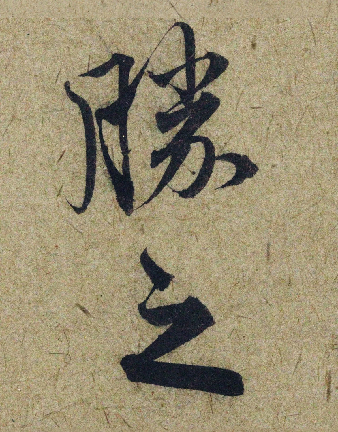 �����\38���в��顶����������ָ����ͼ��