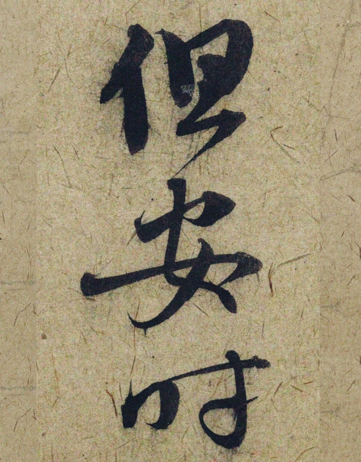 �����\38���в��顶����������ָ����ͼ��