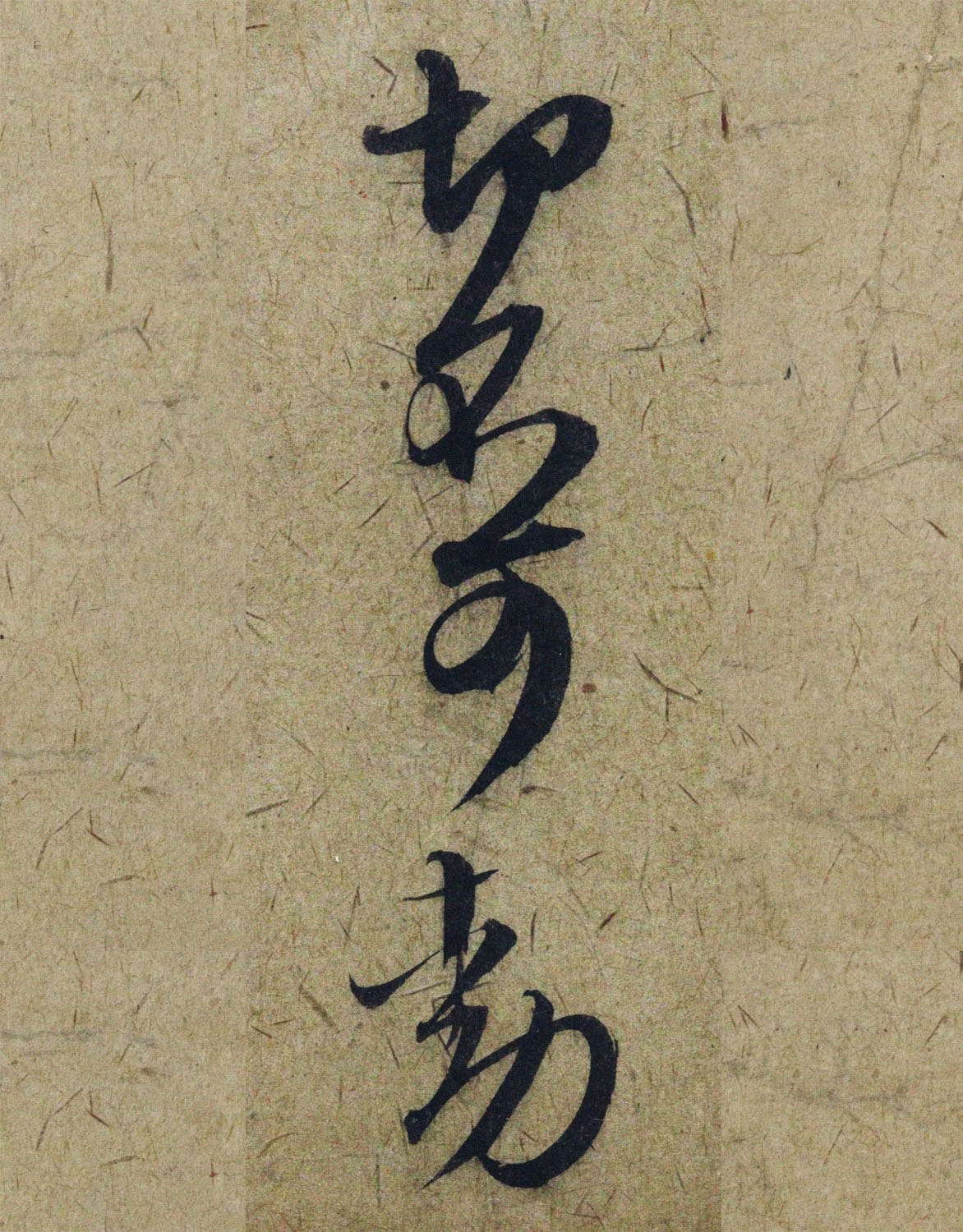 �����\38���в��顶����������ָ����ͼ��