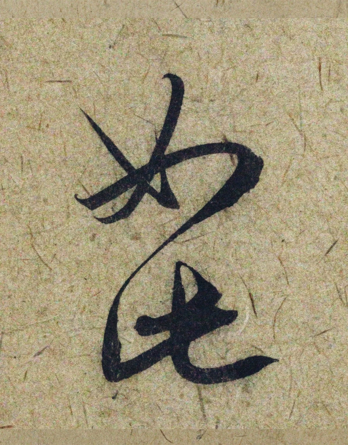 �����\38���в��顶����������ָ����ͼ��