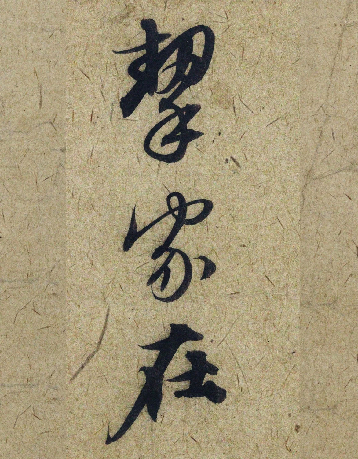 �����\38���в��顶����������ָ����ͼ��