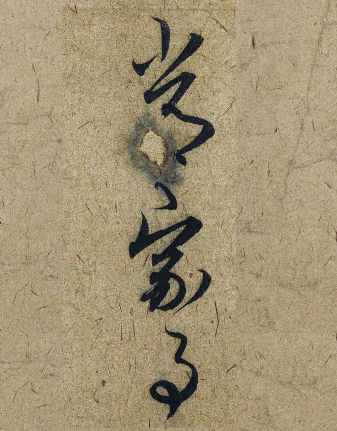 �����\38���в��顶����������ָ����ͼ��