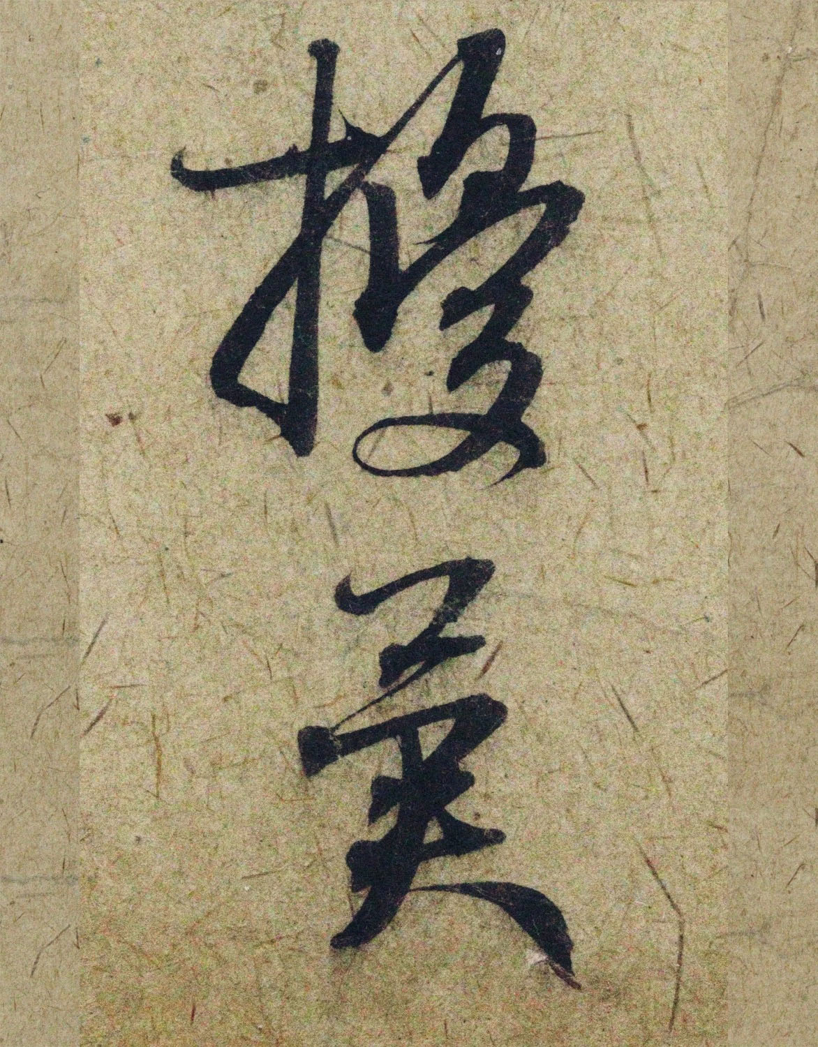 �����\38���в��顶����������ָ����ͼ��