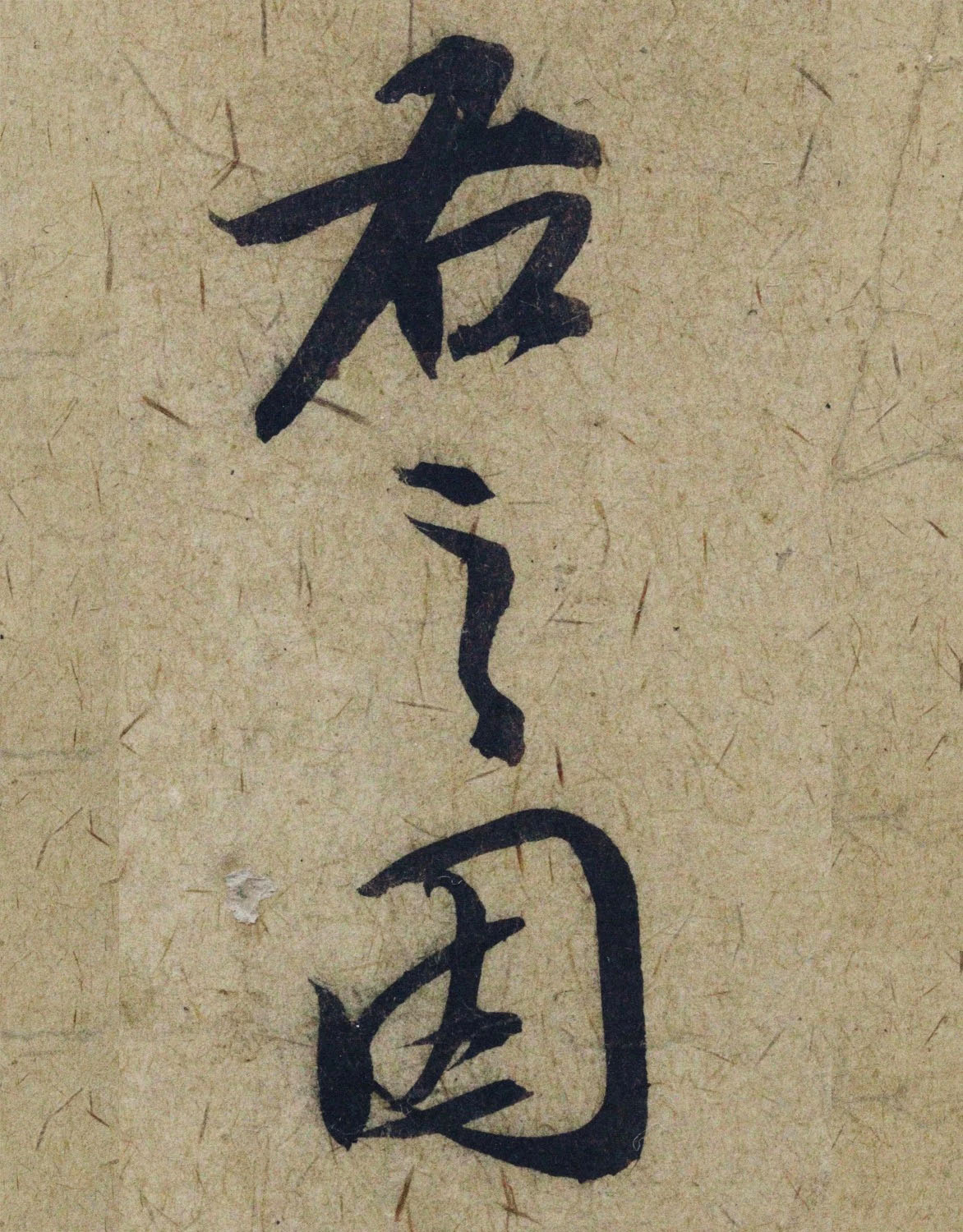 �����\38���в��顶����������ָ����ͼ��