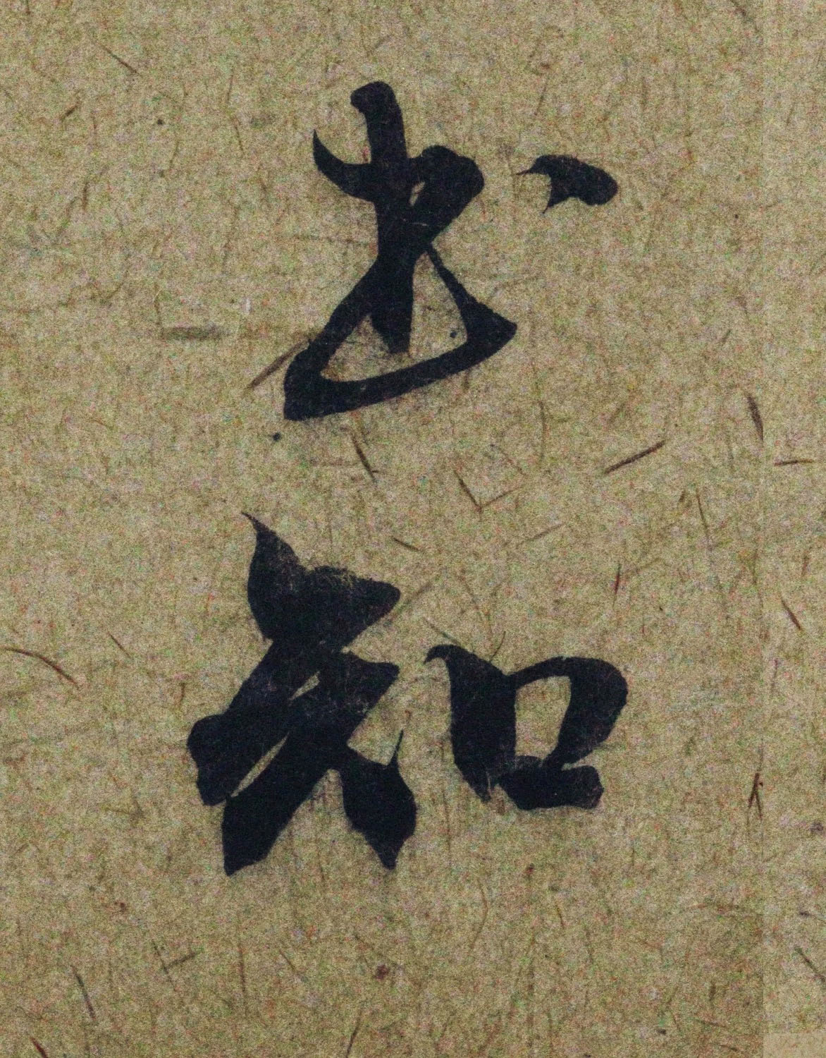 �����\38���в��顶����������ָ����ͼ��