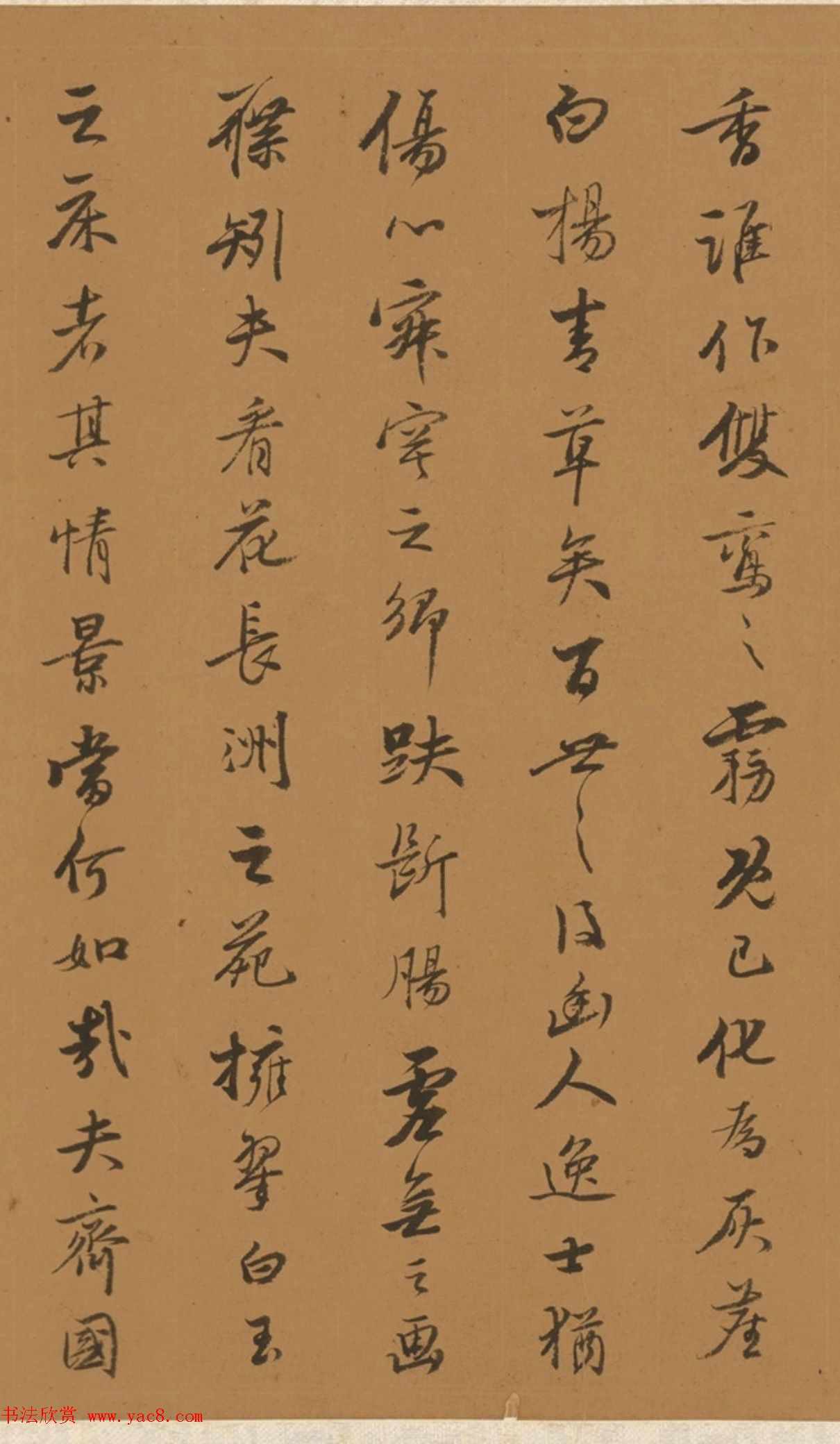 鷨黢ʫ