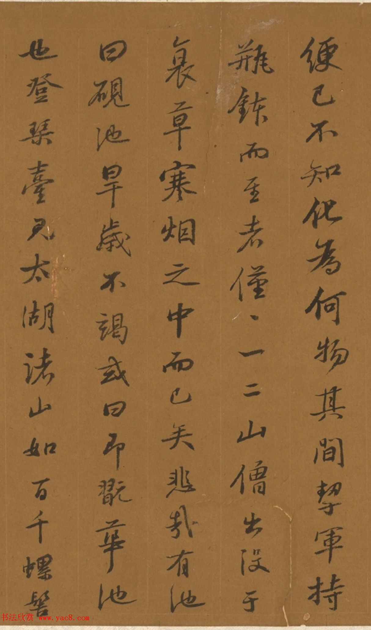 鷨黢ʫ