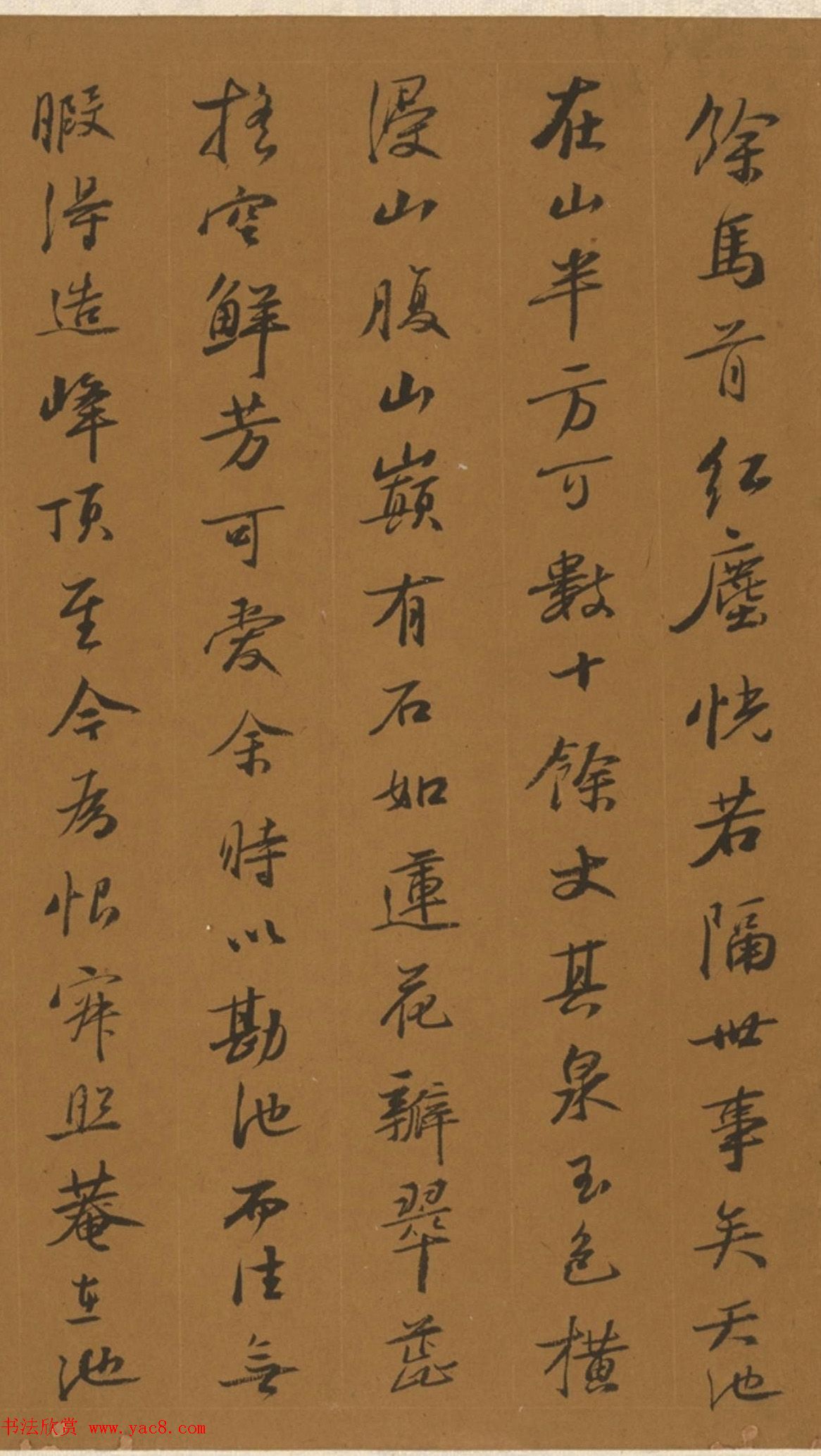 鷨黢ʫ