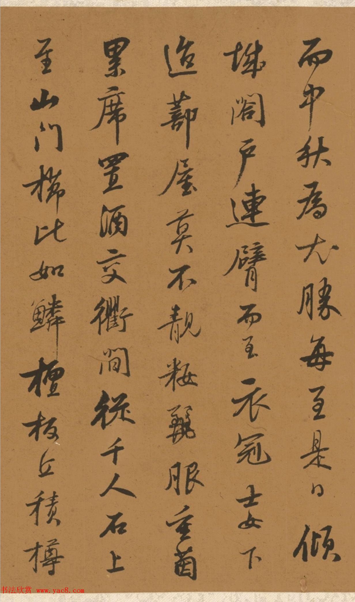 鷨黢ʫ