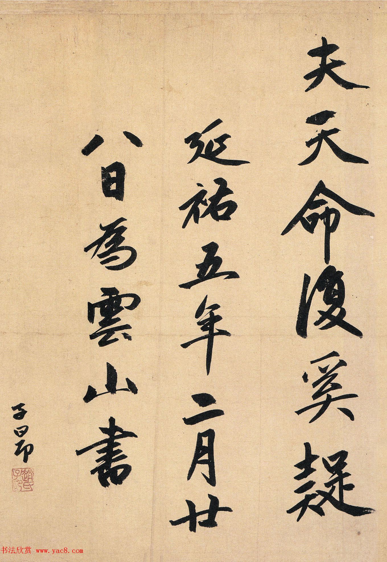 �����\65��������顶��ȥ���ǡ�