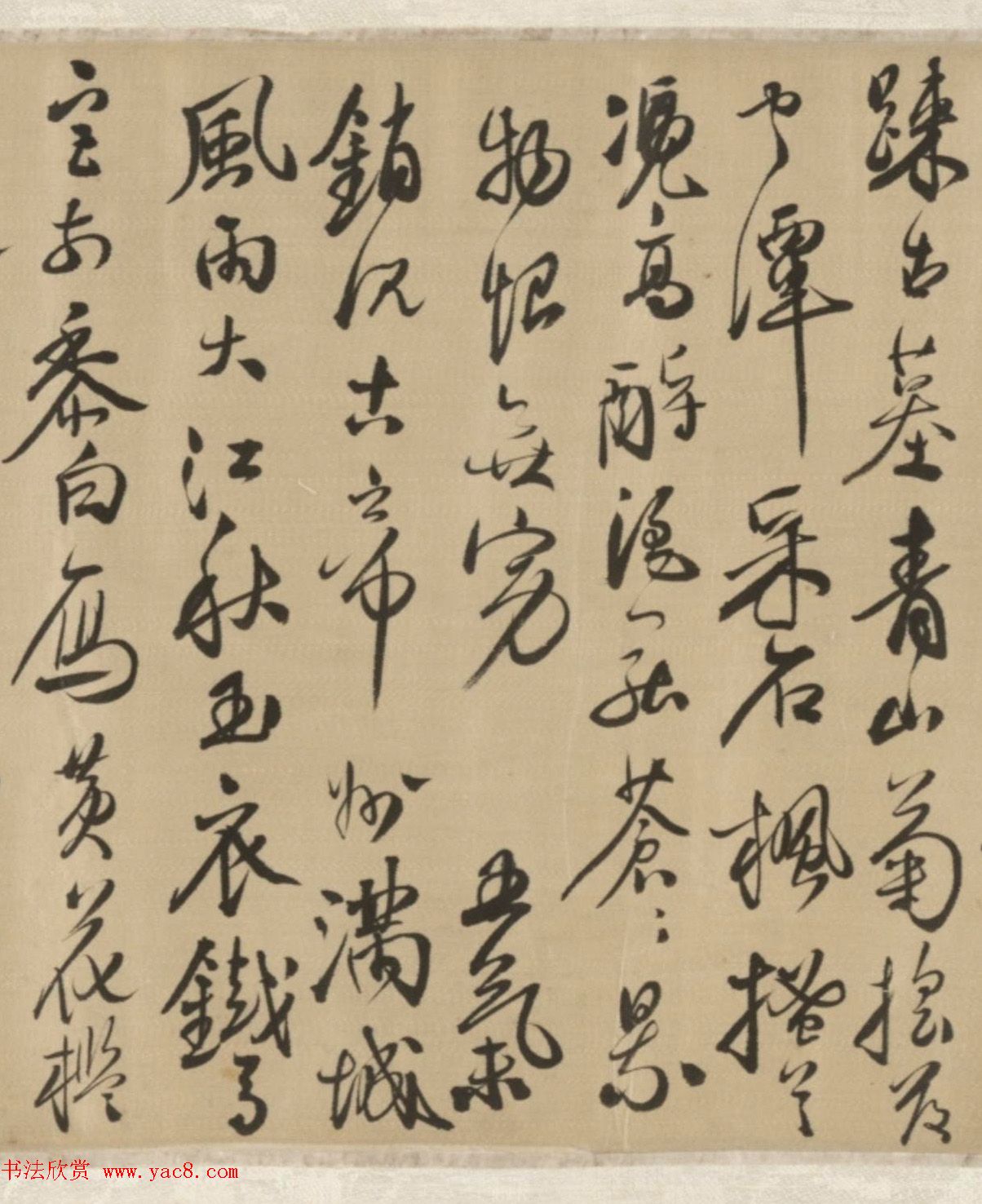 źʫոл