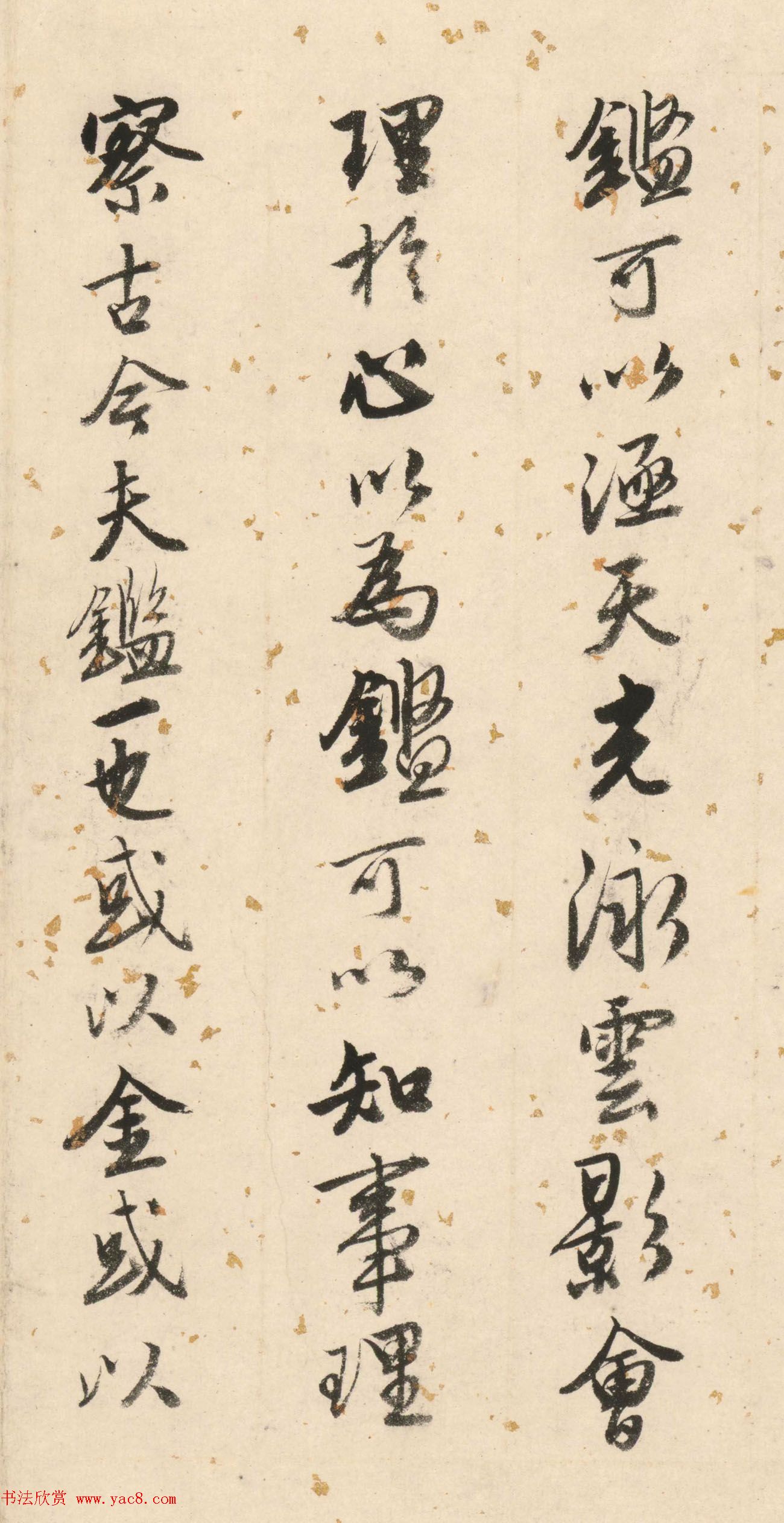 50鷨ī˫Ѽǡ