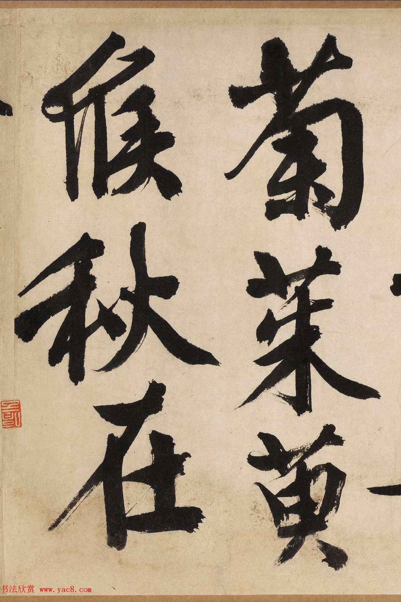 顶ʫ׾