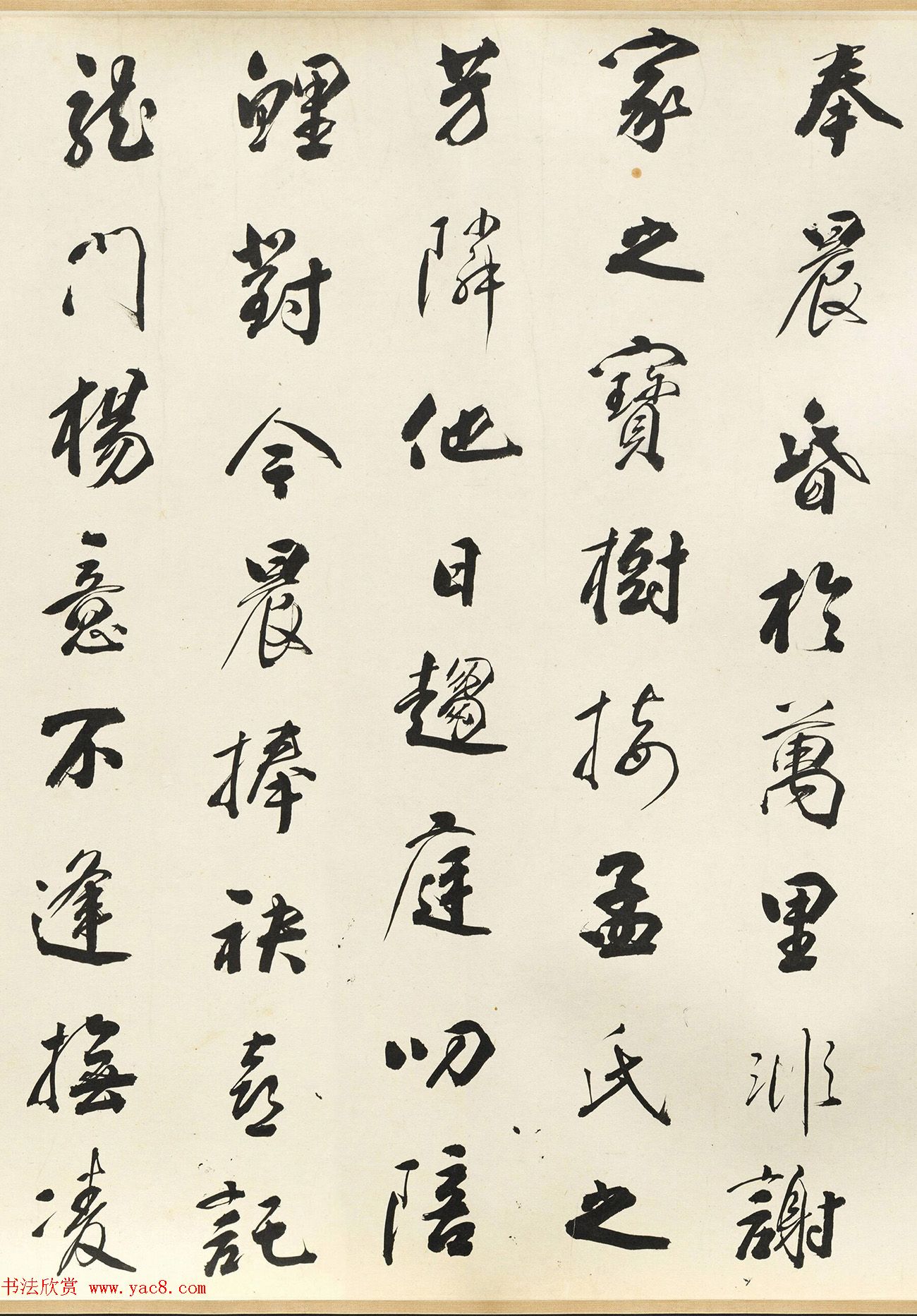 鷨顶