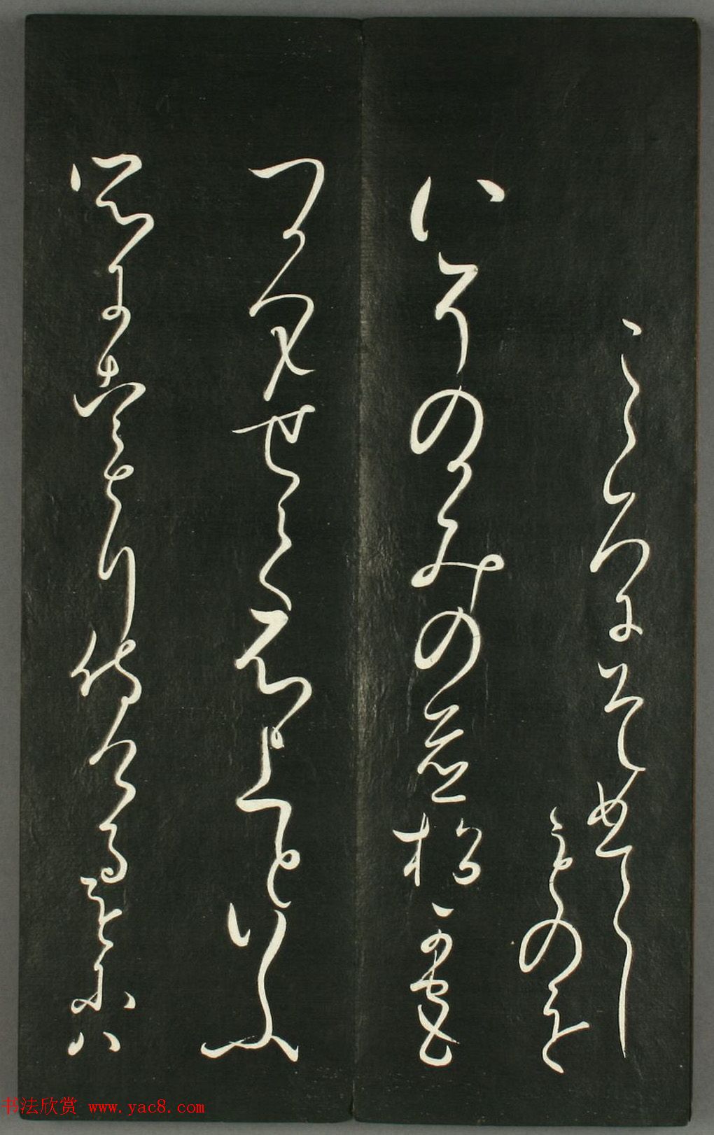 ձǧ顶Ҿ