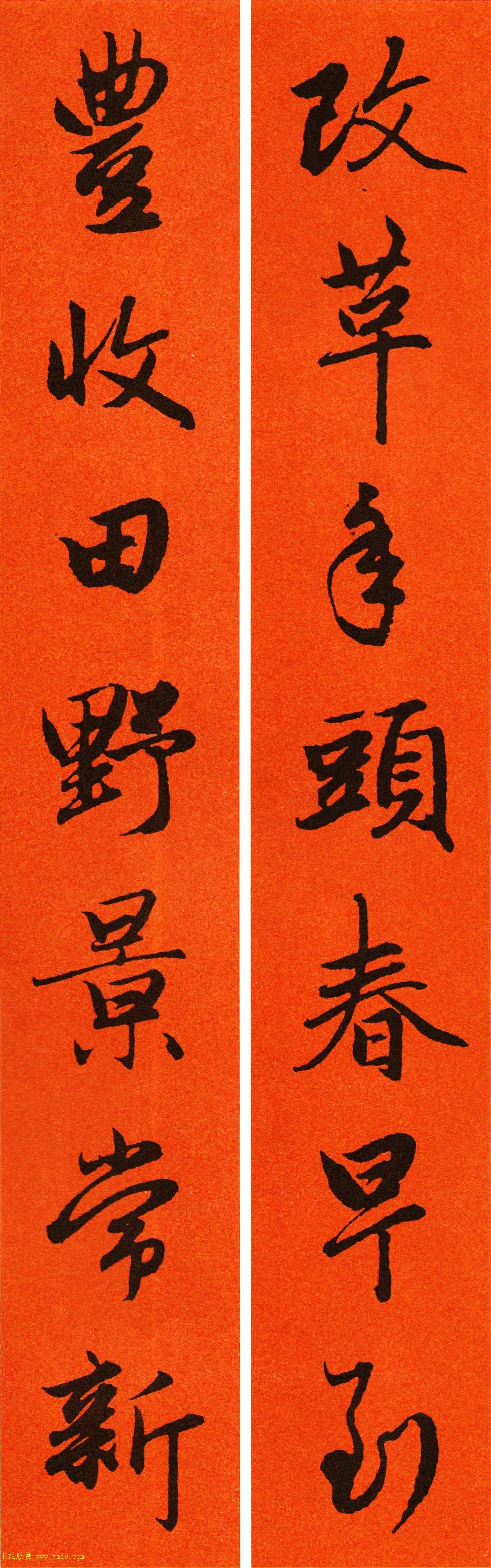 2021\鷨ִ65