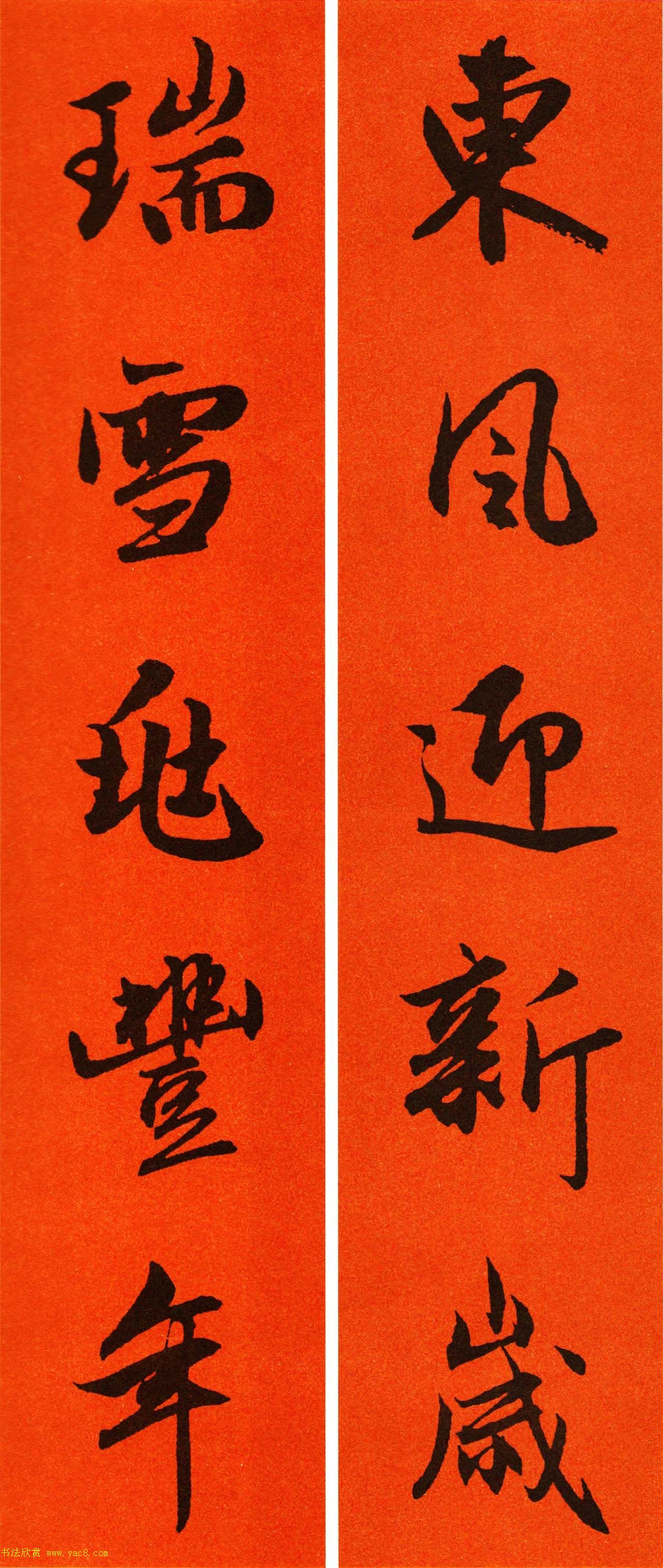 2021\鷨ִ65