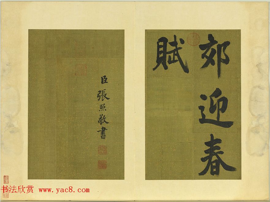 鷨ƶӭ