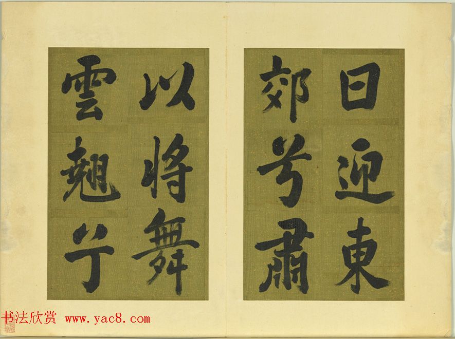鷨ƶӭ