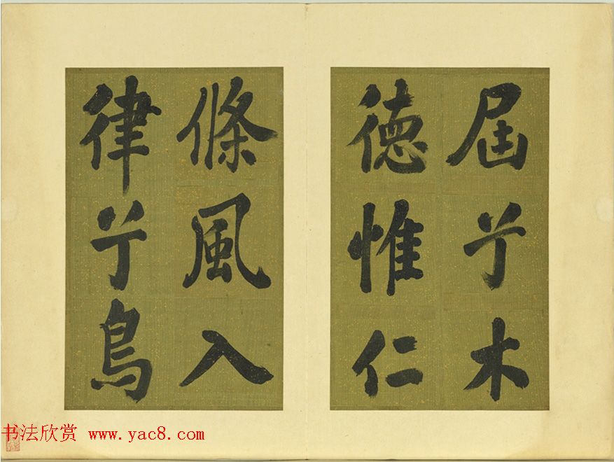 鷨ƶӭ
