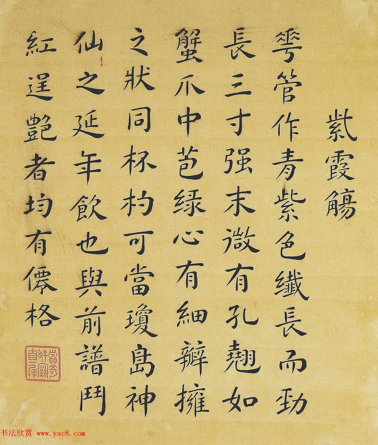 鷨տ}顶סҳ