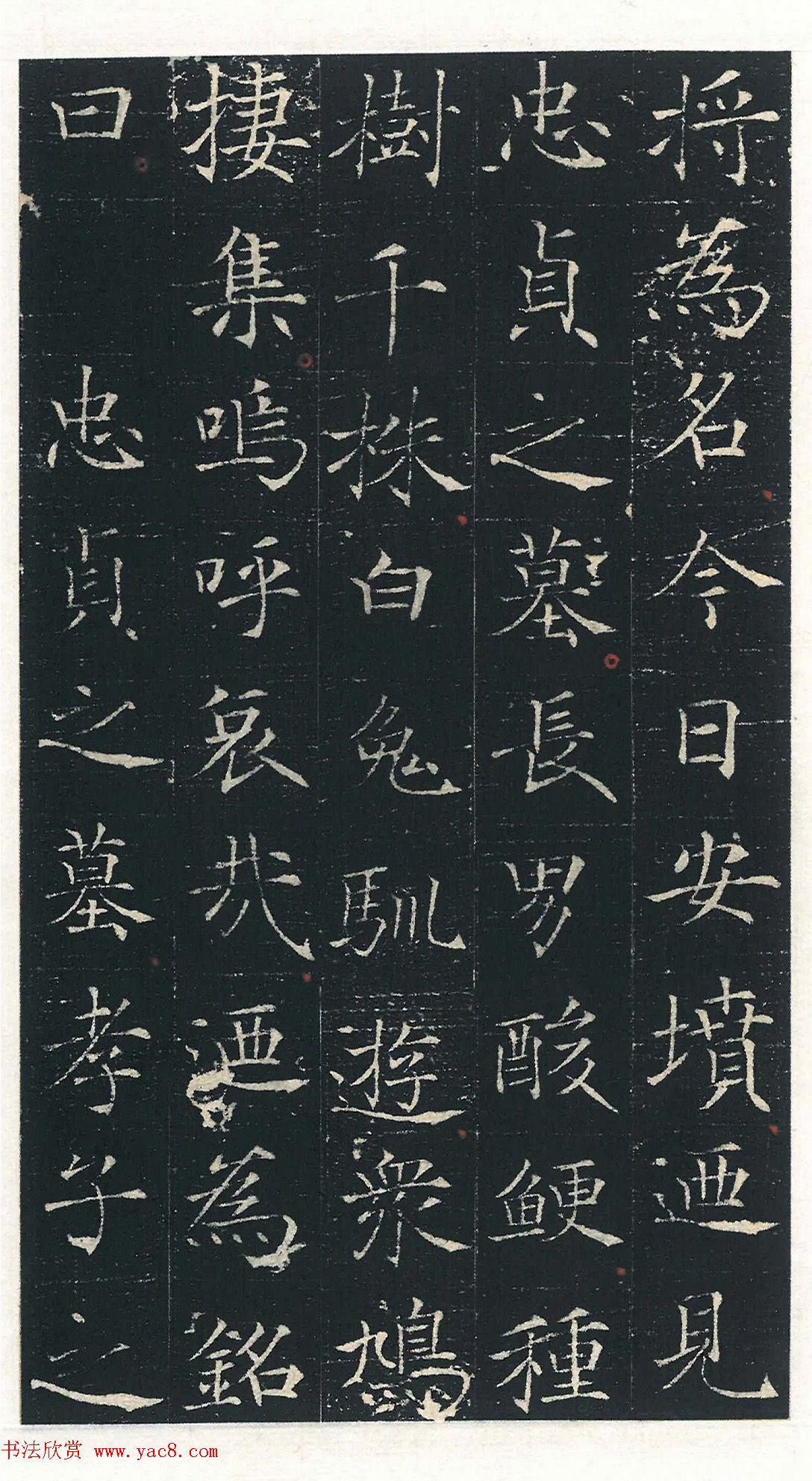 唐代楷书《殷日德墓志》颇类褚遂良书体 唐代楷书《殷日德墓志》颇类褚遂良书体