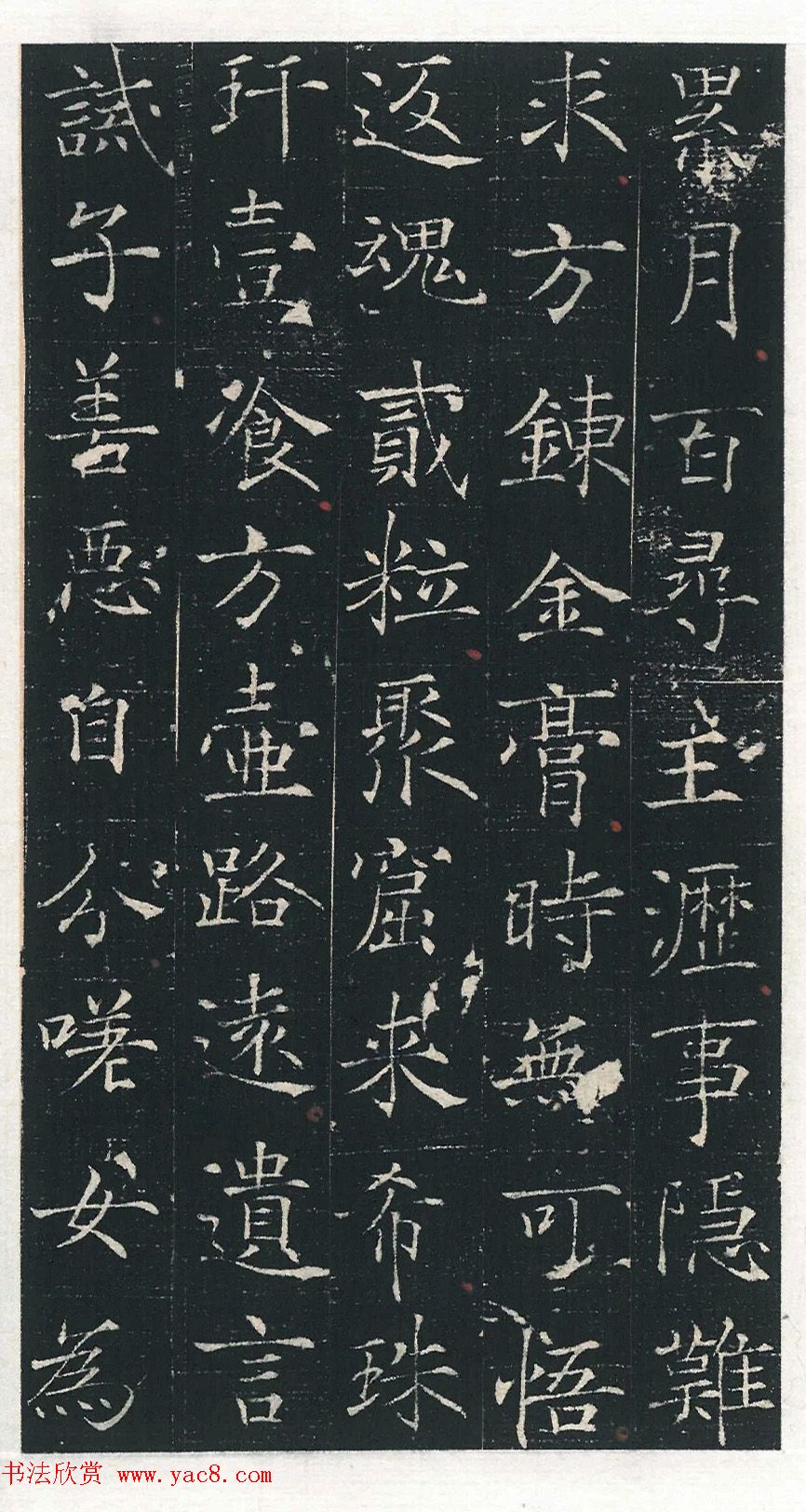 唐代楷书《殷日德墓志》颇类褚遂良书体
