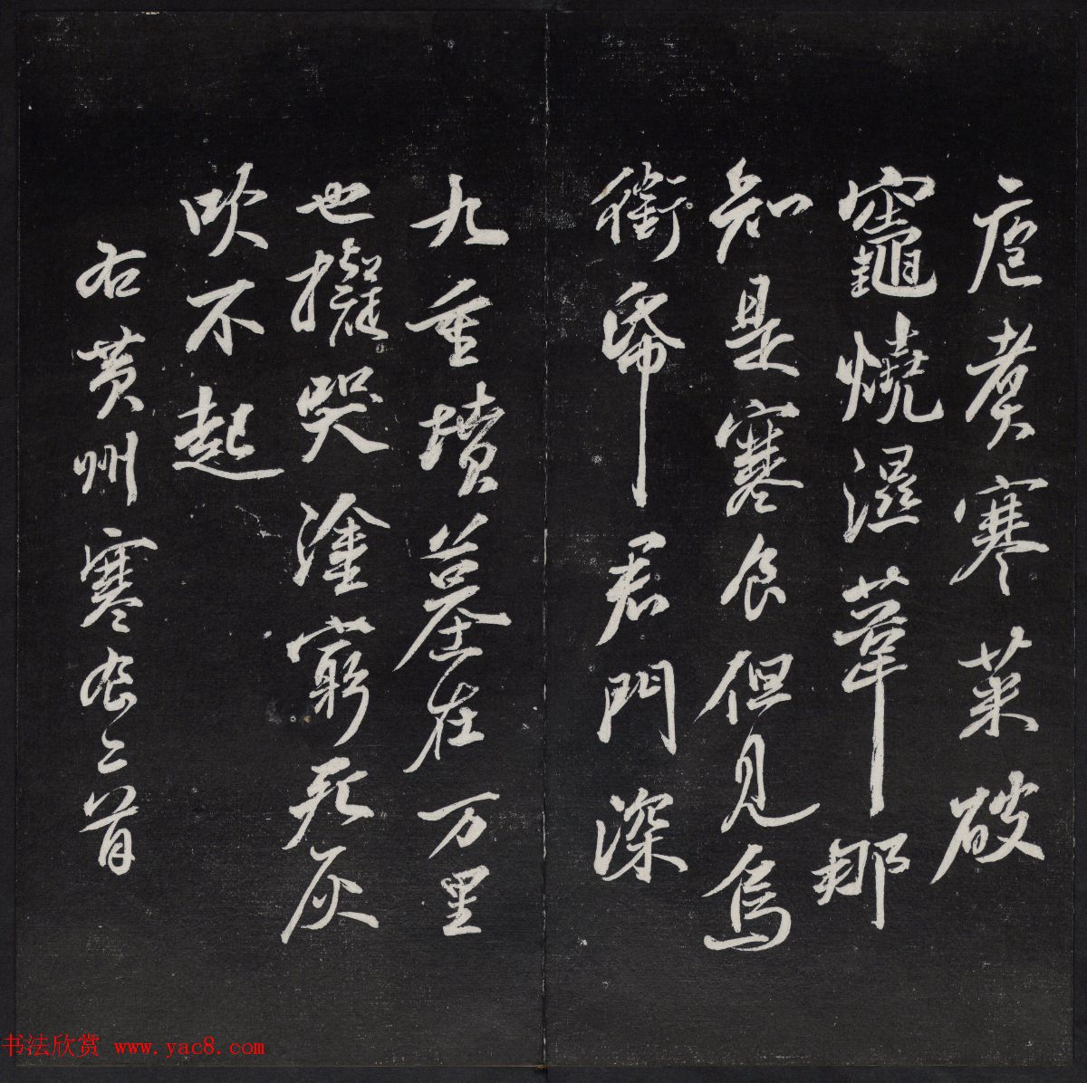 鲢ɽٹŷ