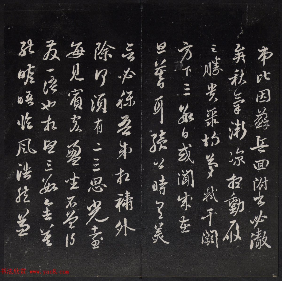 鲢ɽٹŷ