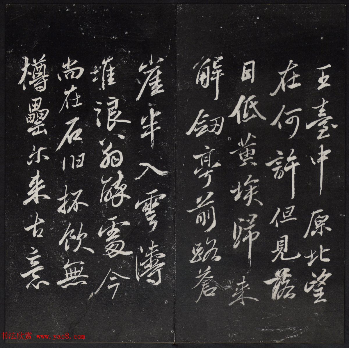 鲢ɽٹŷ