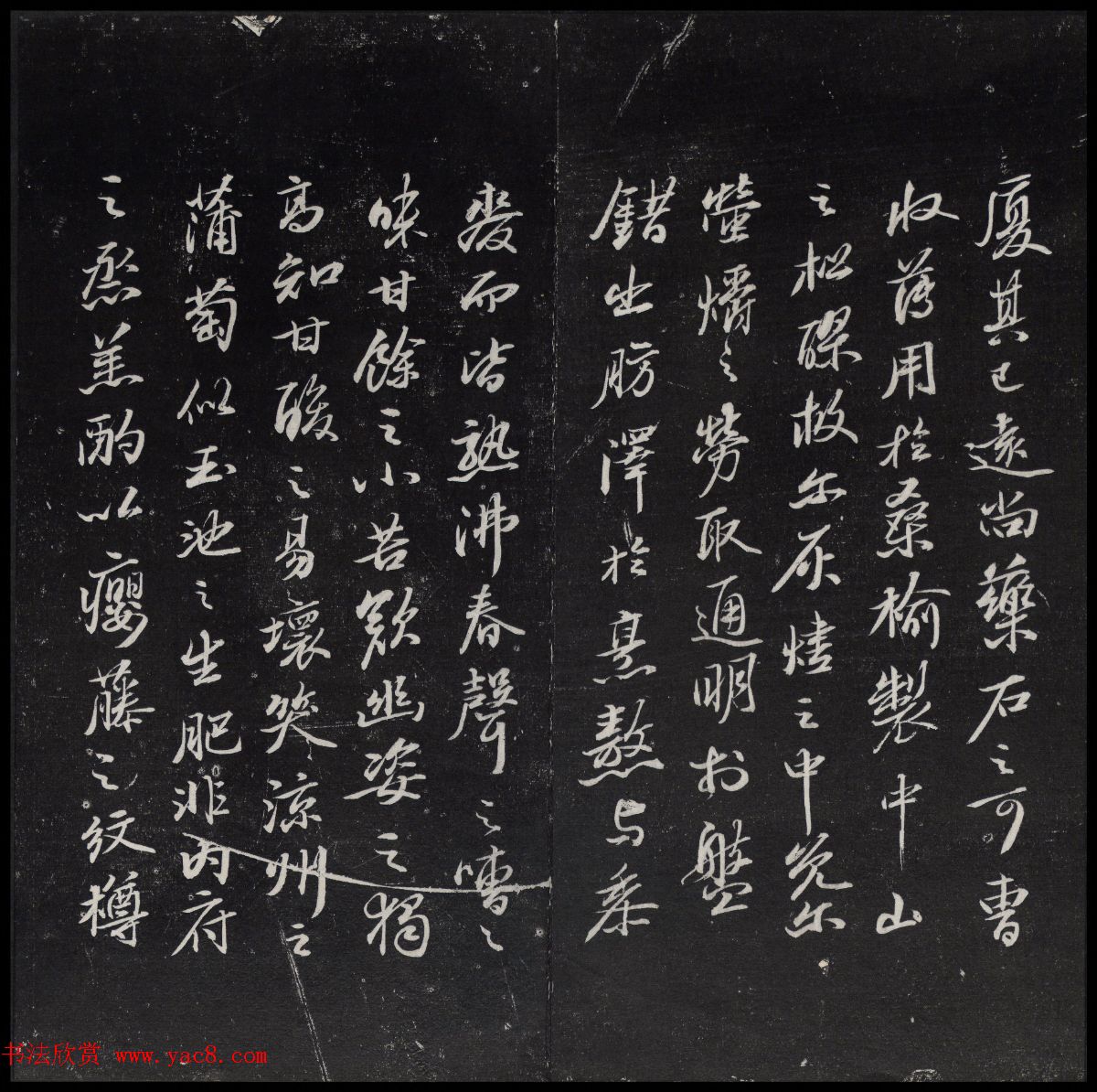 鲢ɽٹŷ