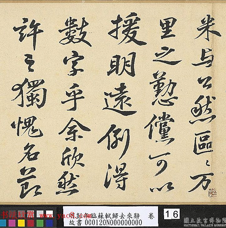 鷨ȥǾ