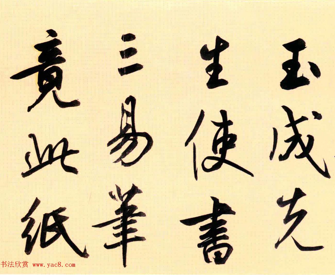 52鷨éΪƸ衷