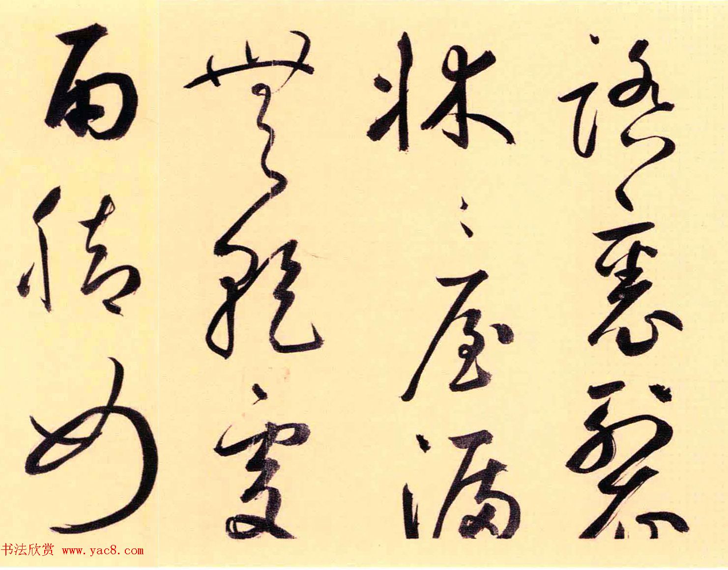 52鷨éΪƸ衷