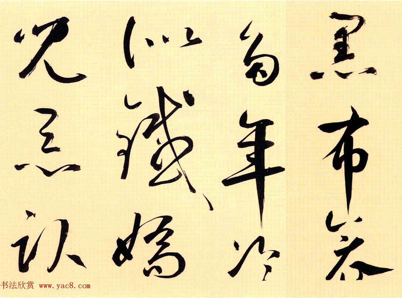 52鷨éΪƸ衷