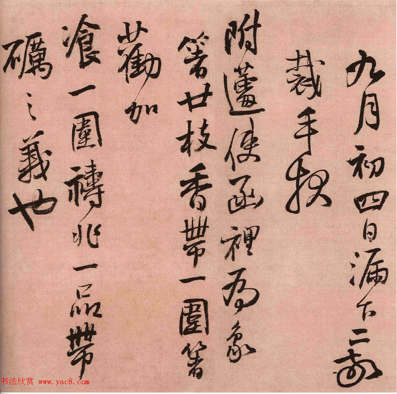 鷨Ʒܿ顷