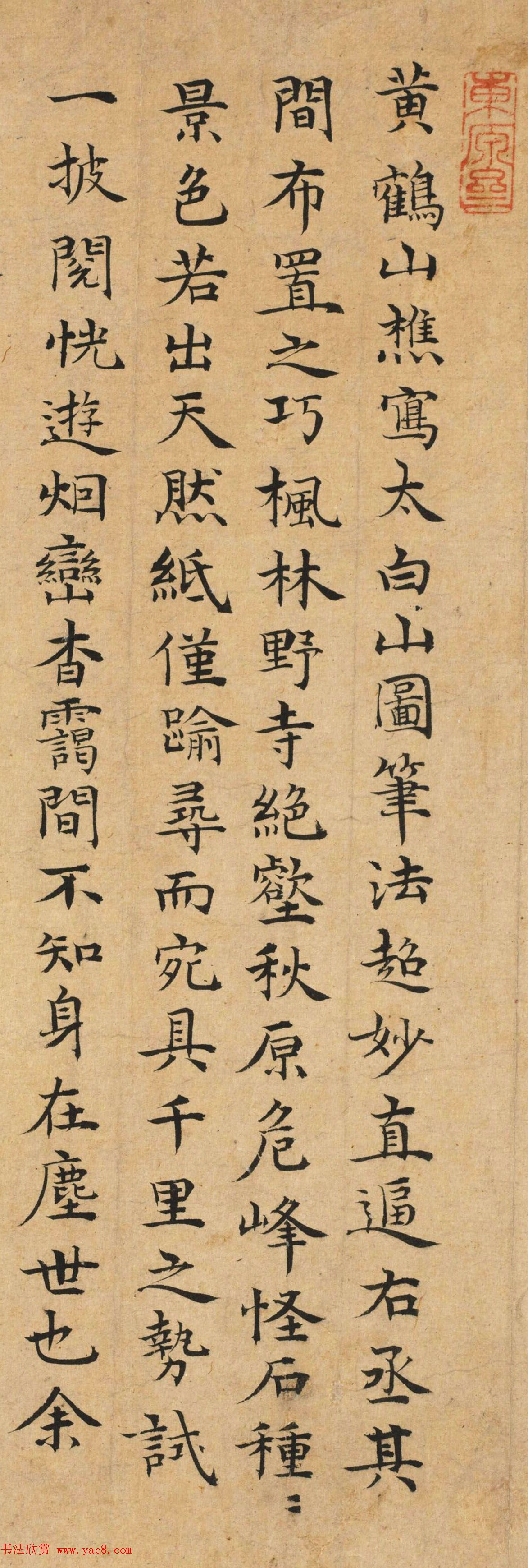 鷨ʶ+