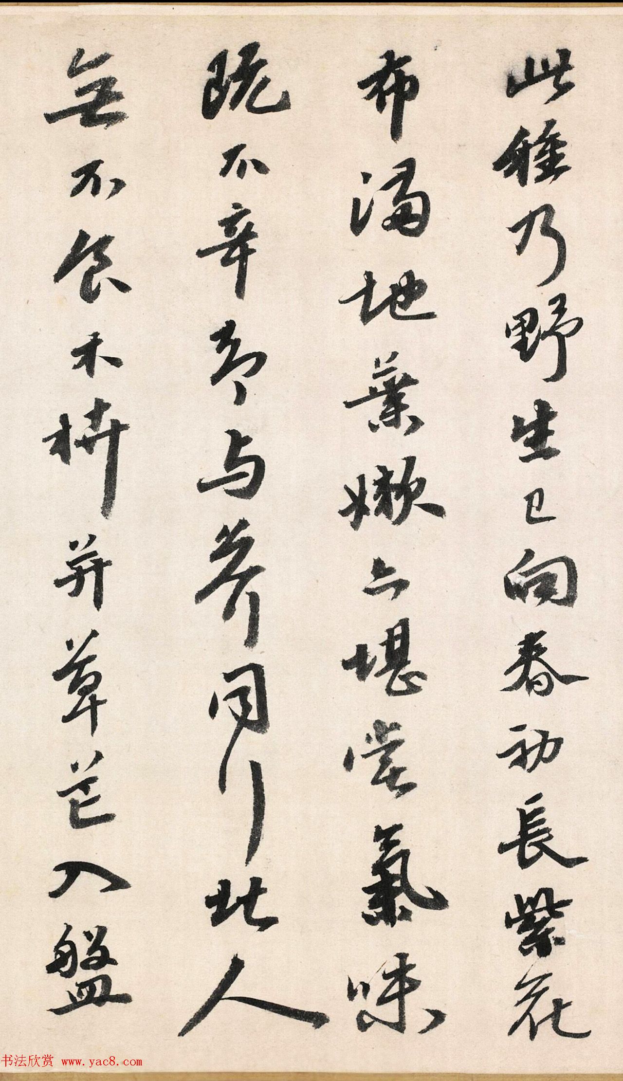 鷨԰вľʮס