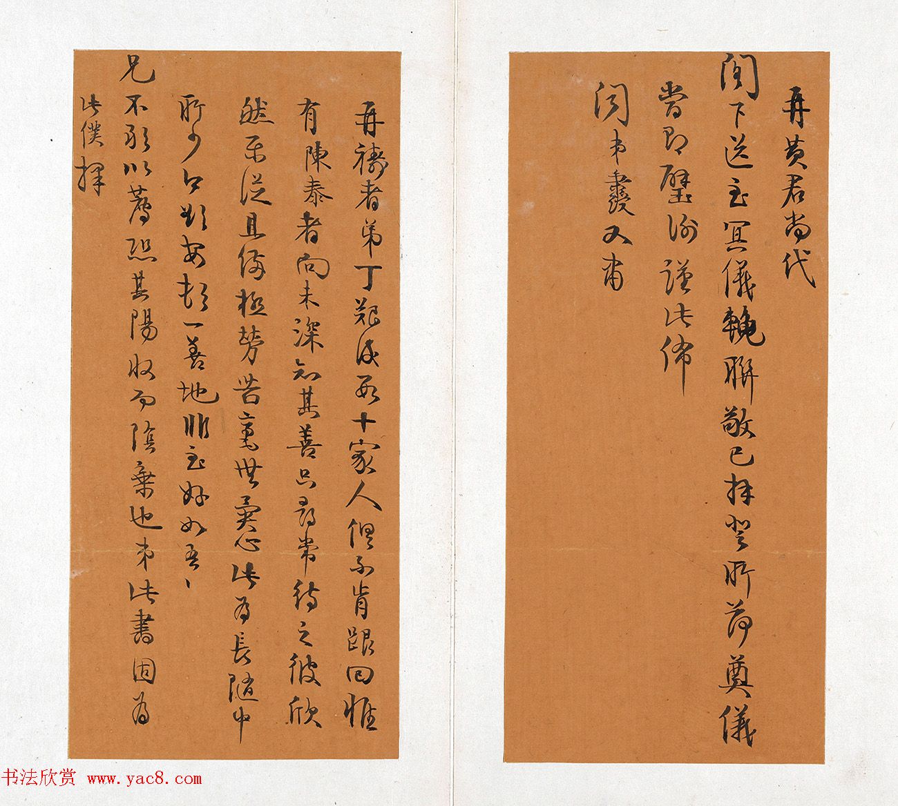 鷨īīֲᡷ