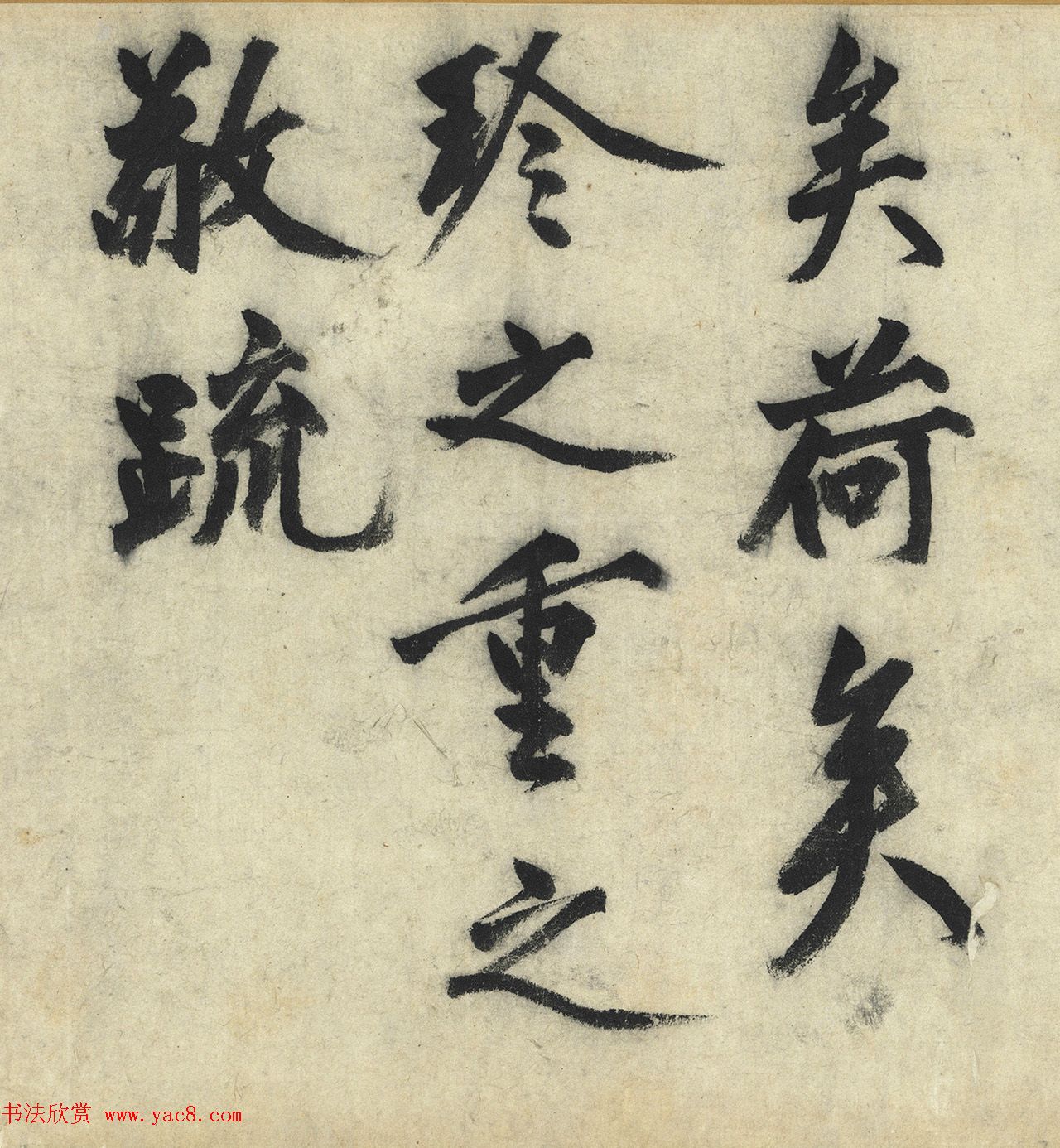 ܴ顶
