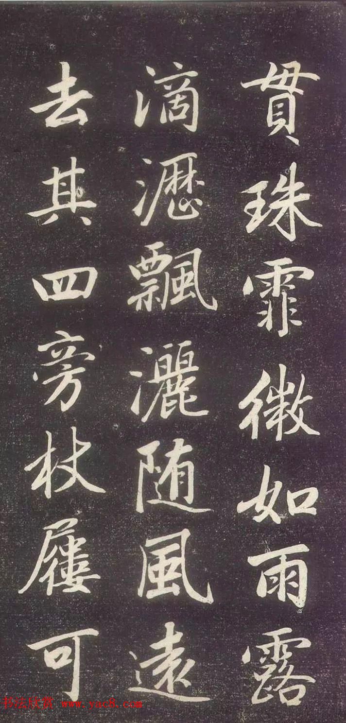 \鷨®ɽüǡ