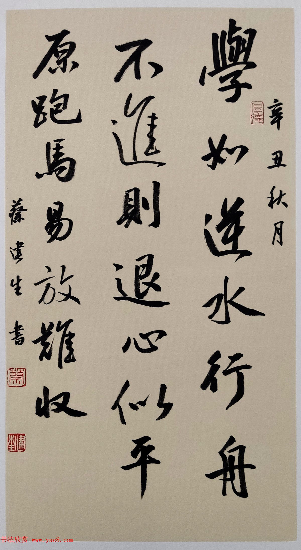 ̽鷨Ʒѡ