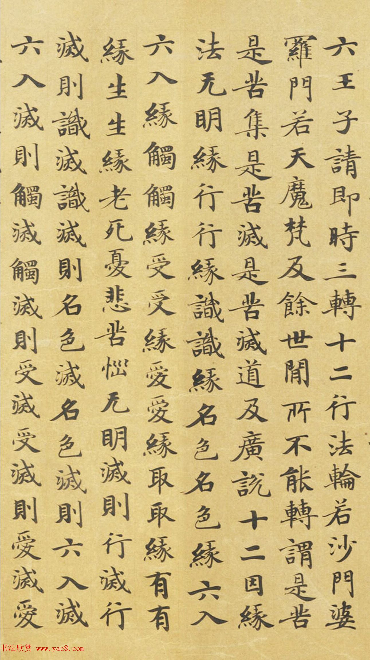 ƴ顶